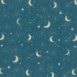 Winter Moonlight
